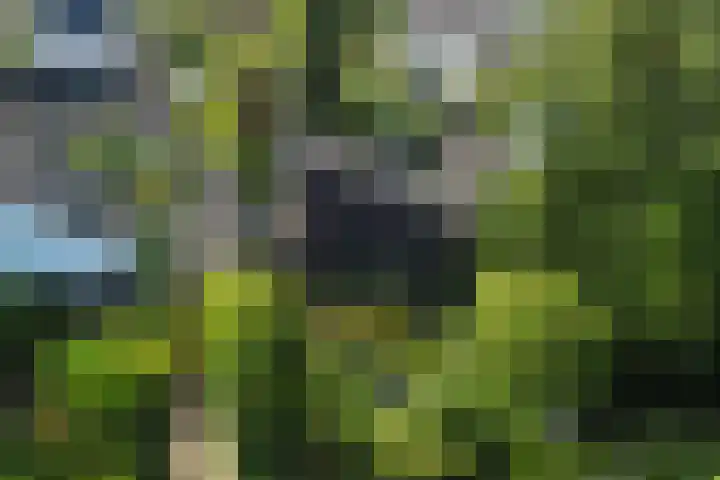 Torenakkers 9 Havelte thumbnail 45
