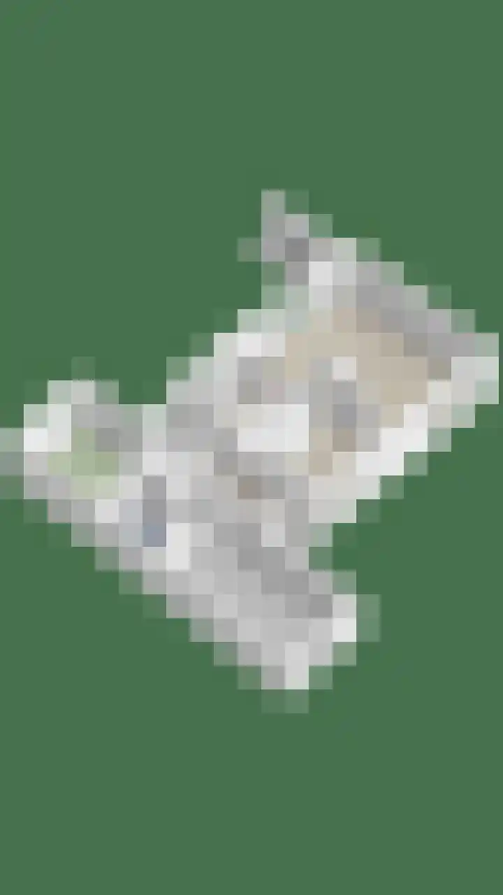 Torenakkers 9 Havelte thumbnail 47