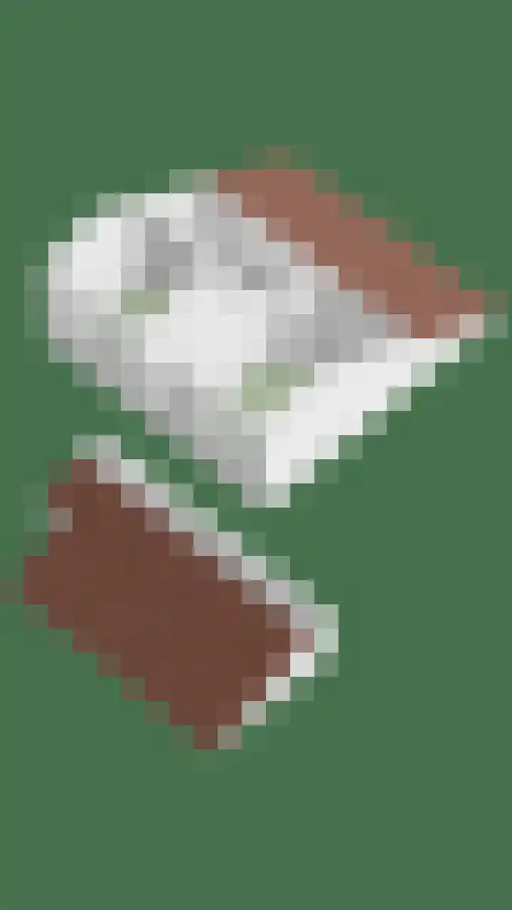 Torenakkers 9 Havelte thumbnail 49