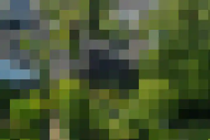 Torenakkers 9 Havelte thumbnail 54