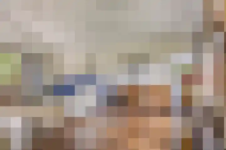 Torenakkers 9 Havelte thumbnail 6