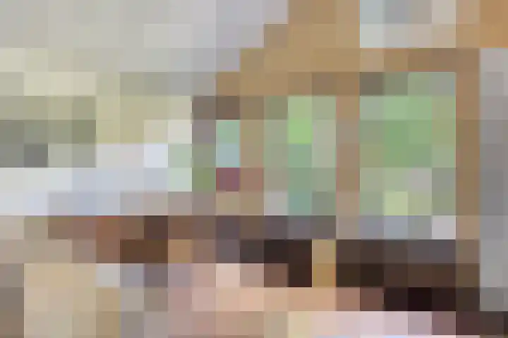 Torenakkers 9 Havelte thumbnail 7
