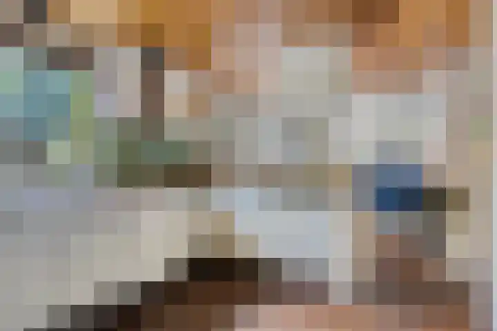 Torenakkers 9 Havelte thumbnail 8