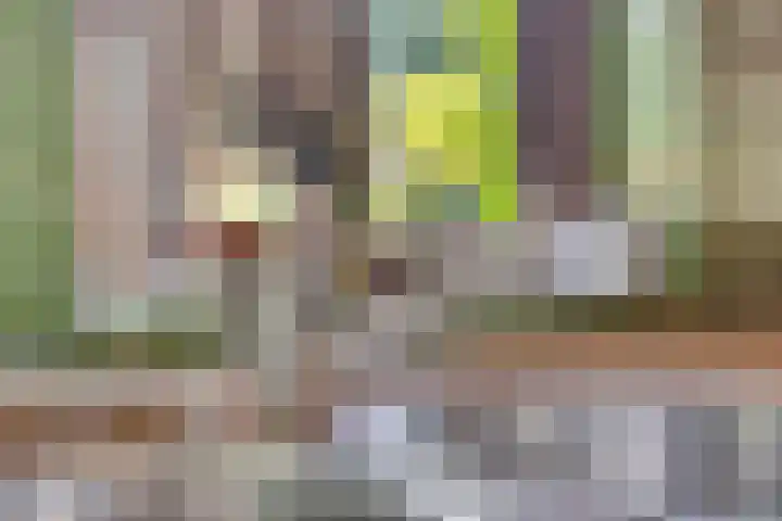 Torenakkers 9 Havelte thumbnail 9