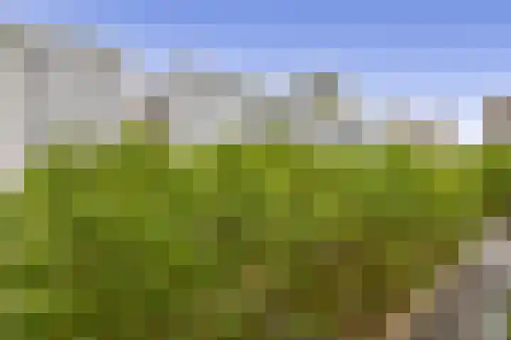 Torenallee 69 014 Eindhoven thumbnail 29