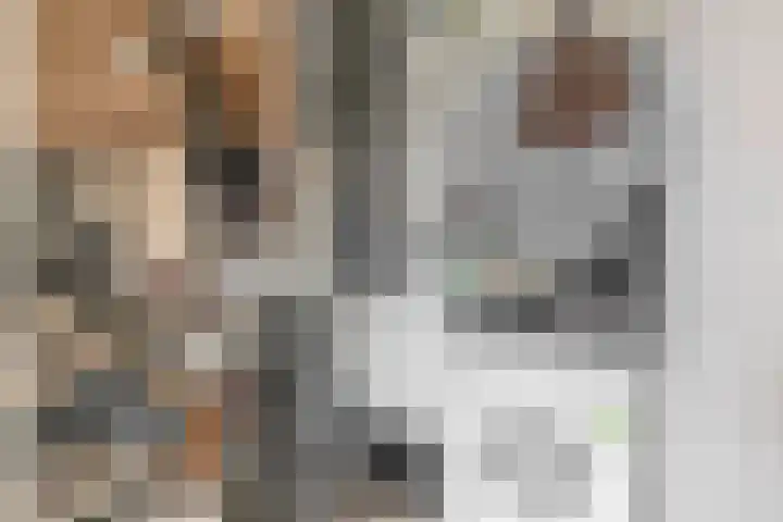 Torenallee 69 014 Eindhoven thumbnail 36