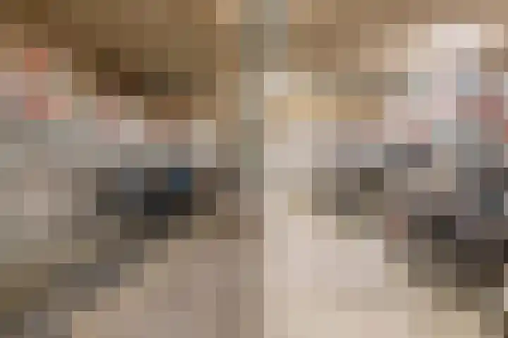 Torenallee 69 014 Eindhoven thumbnail 38
