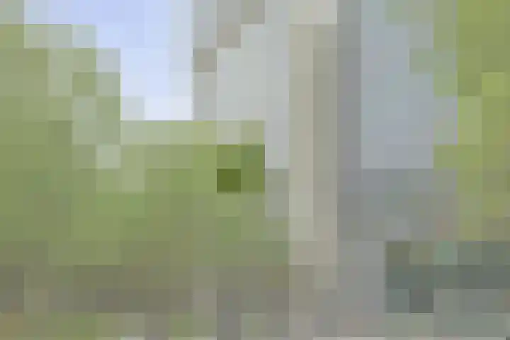Torenallee 69 014 Eindhoven thumbnail 6