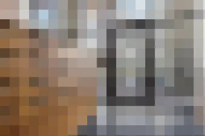 Torenallee 69 032 Eindhoven thumbnail 10
