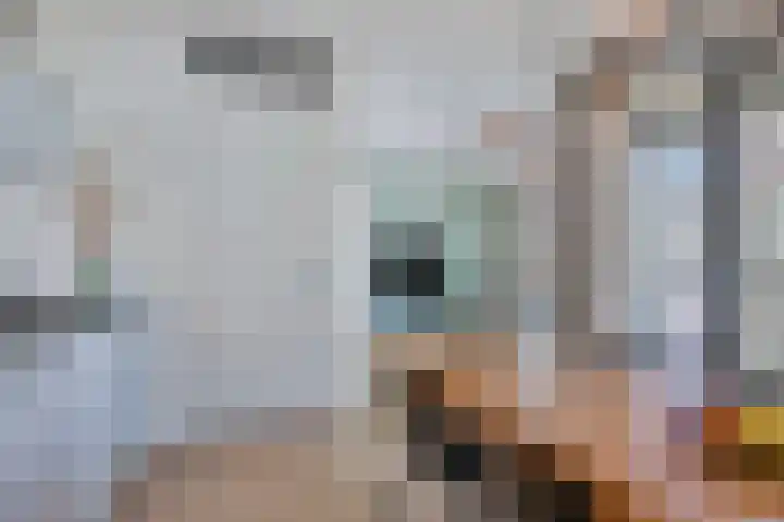 Torenallee 69 032 Eindhoven thumbnail 21