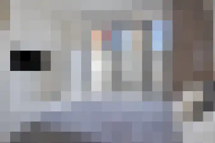 Torenallee 69 032 Eindhoven thumbnail 28