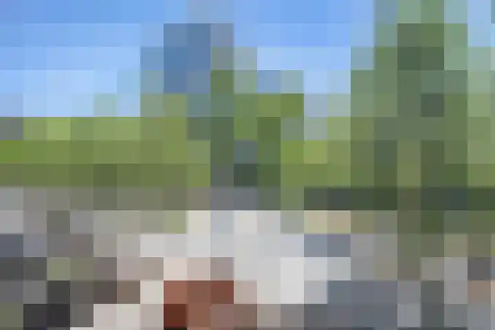 Torenallee 69 032 Eindhoven thumbnail 6