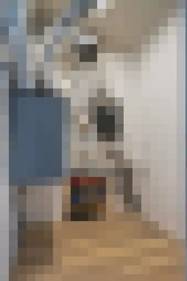 Torenallee 69 037 Eindhoven thumbnail 21