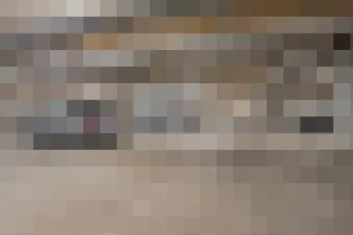 Torenallee 69 037 Eindhoven thumbnail 25