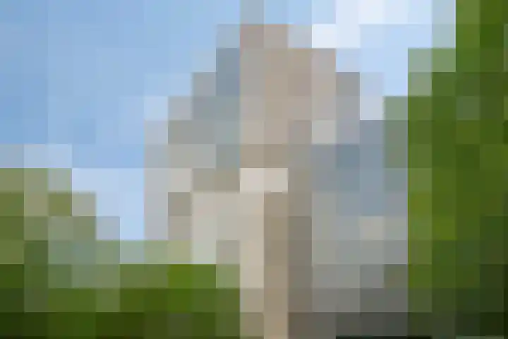 Torenallee 69 037 Eindhoven thumbnail 34