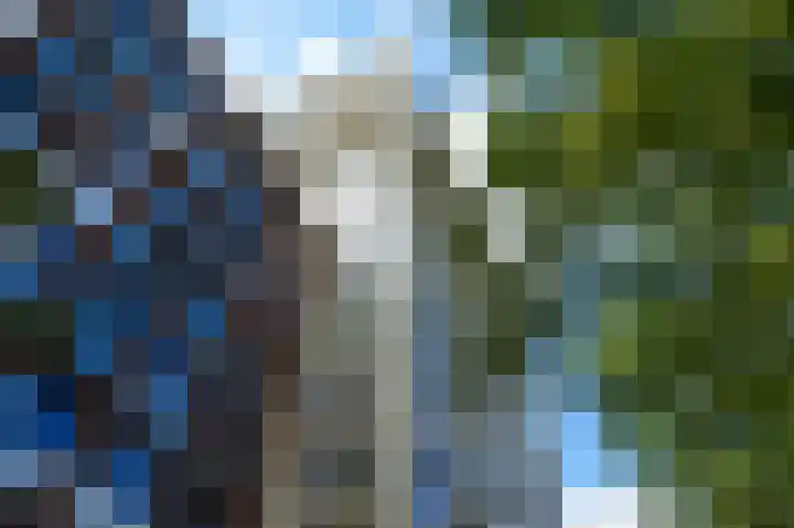 Torenallee 69 042 Eindhoven thumbnail 37