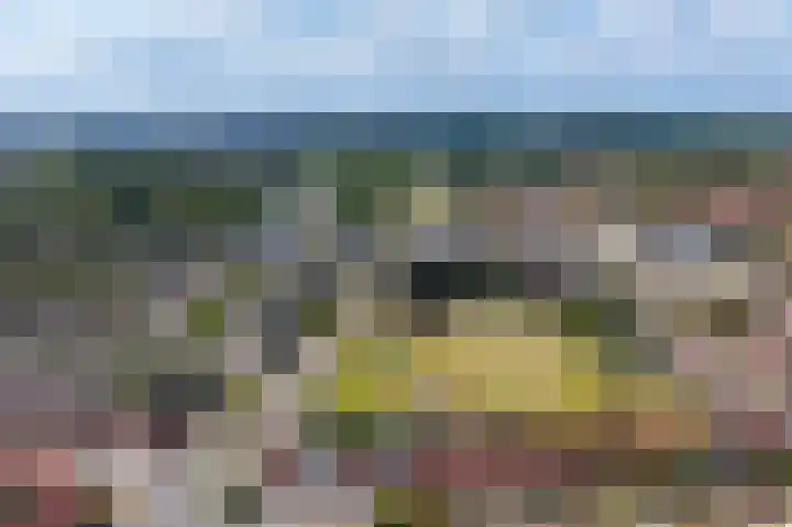 Torenallee 69 042 Eindhoven thumbnail 43