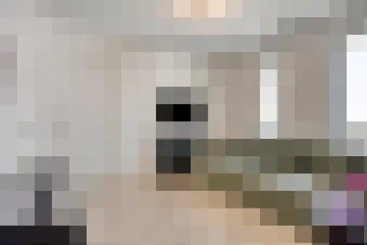 Torenallee 69 056 Eindhoven thumbnail 15