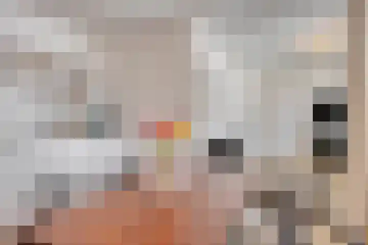 Torenallee 69 056 Eindhoven thumbnail 17