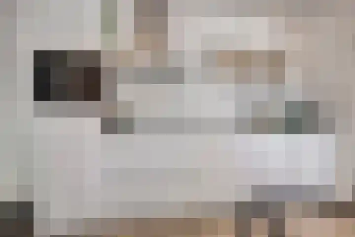 Torenallee 69 056 Eindhoven thumbnail 18