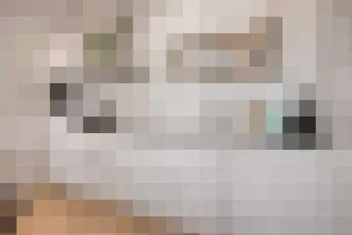 Torenallee 69 056 Eindhoven thumbnail 19