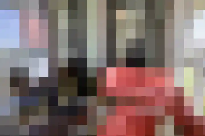Torenallee 69 056 Eindhoven thumbnail 23