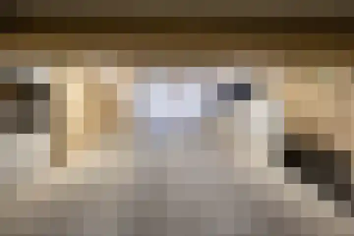 Torenallee 69 056 Eindhoven thumbnail 37
