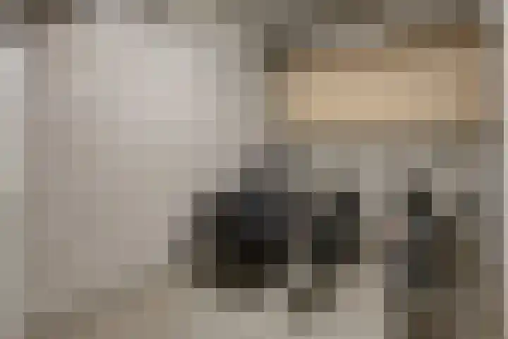 Torenallee 69 056 Eindhoven thumbnail 38