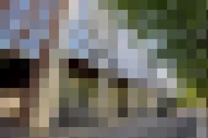 Torenallee 69 056 Eindhoven thumbnail 40
