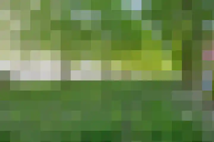Torenallee 69 056 Eindhoven thumbnail 41