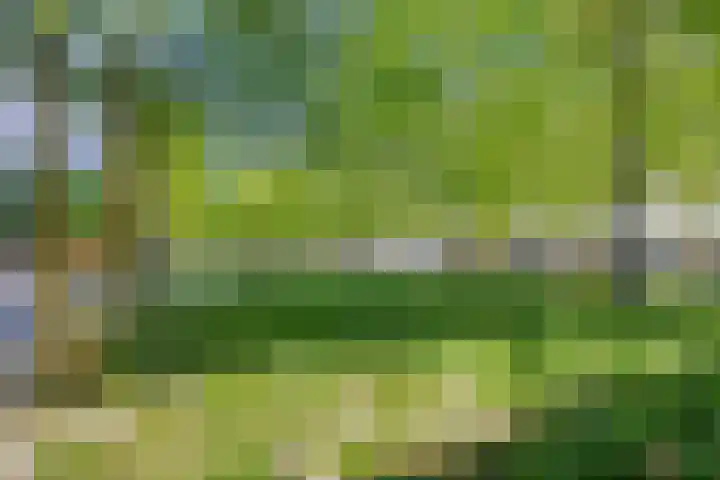 Torenallee 69 056 Eindhoven thumbnail 42