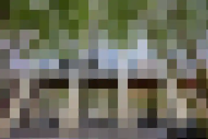 Torenallee 69 056 Eindhoven thumbnail 6