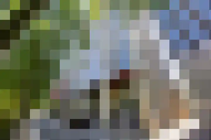 Torenallee 69 056 Eindhoven thumbnail 7