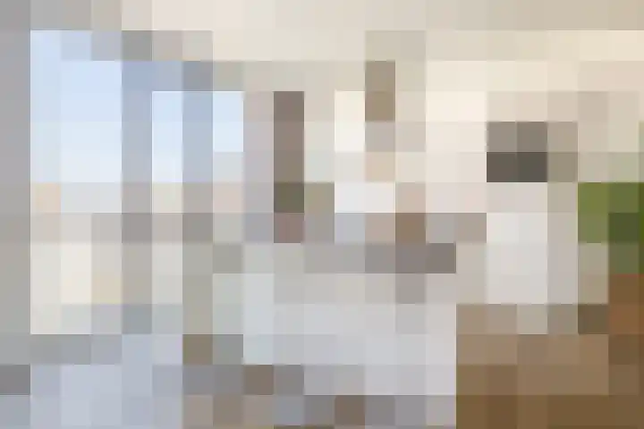 Torenallee 69 061 Eindhoven thumbnail 29