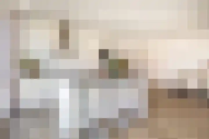 Torenallee 69 061 Eindhoven thumbnail 31