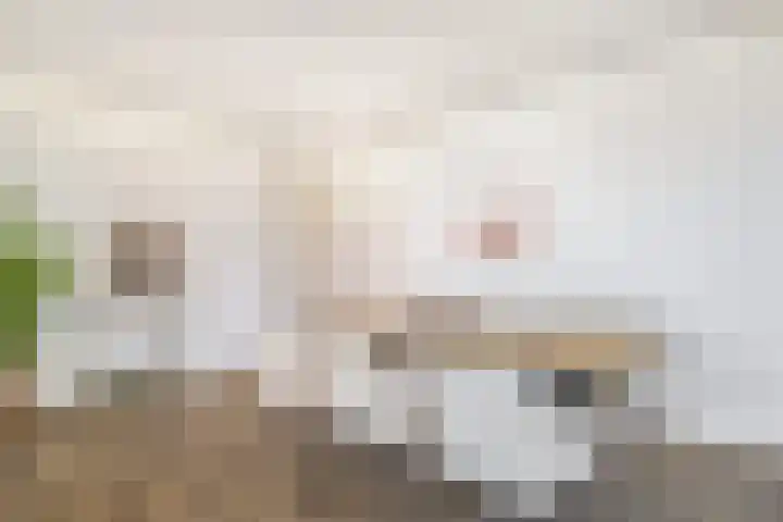 Torenallee 69 061 Eindhoven thumbnail 37