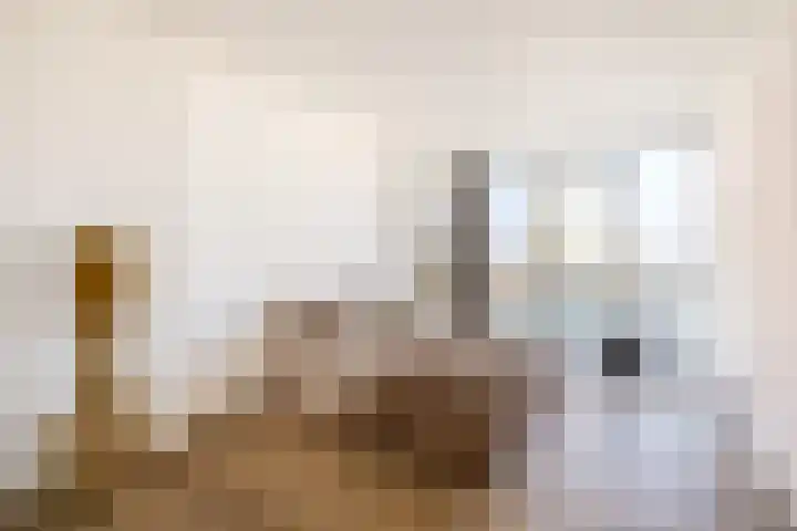 Torenallee 69 061 Eindhoven thumbnail 39