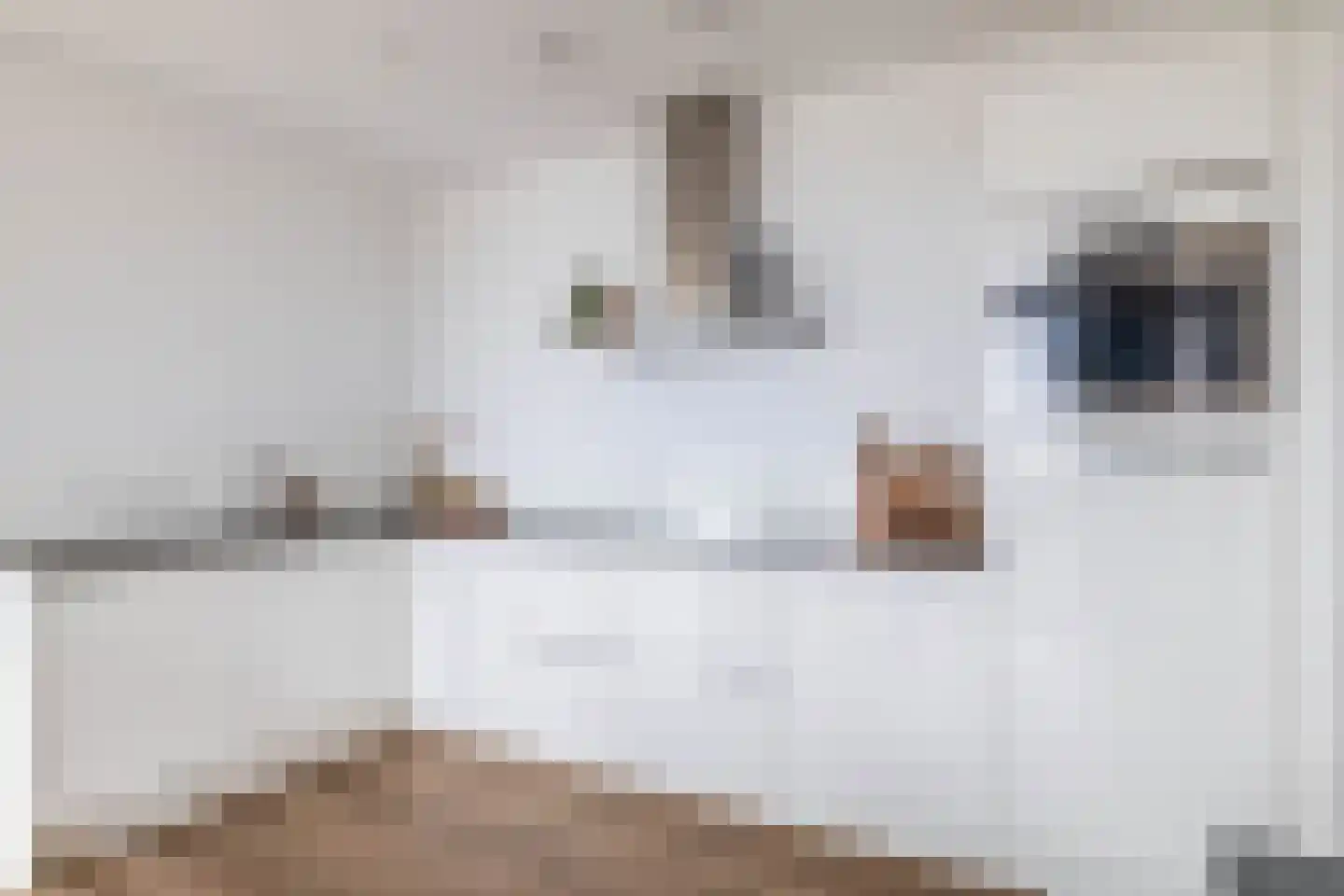 Torenallee 69 069 Eindhoven thumbnail 23
