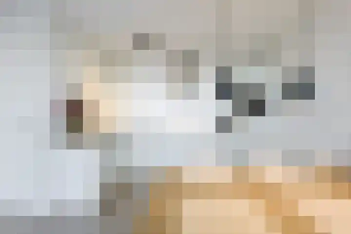 Torenallee 69 074 Eindhoven thumbnail 21