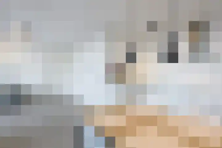Torenallee 69 074 Eindhoven thumbnail 22