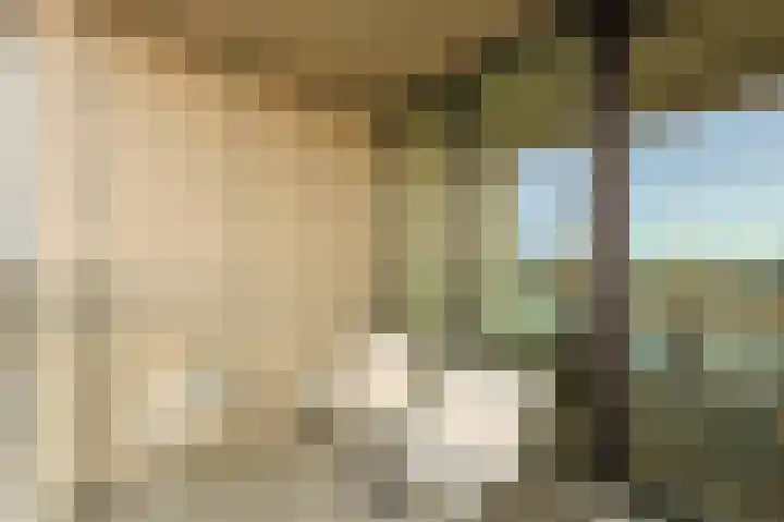 Torenallee 69 074 Eindhoven thumbnail 26