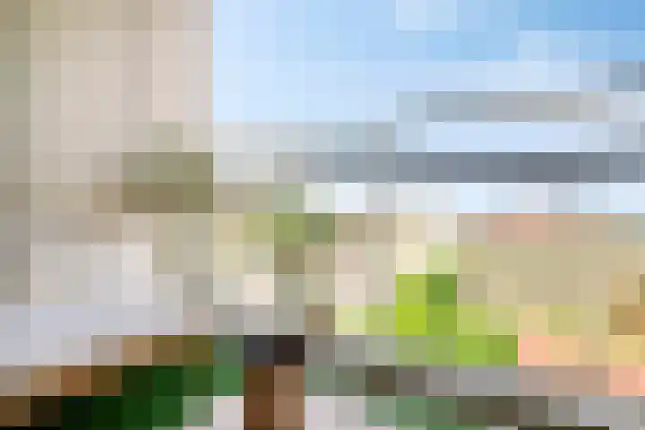 Torenallee 69 077 Eindhoven thumbnail 14