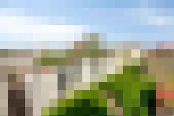 Torenallee 69 077 Eindhoven thumbnail 17