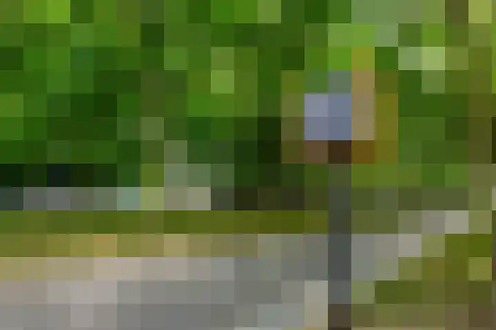 Torenallee 69 077 Eindhoven thumbnail 51