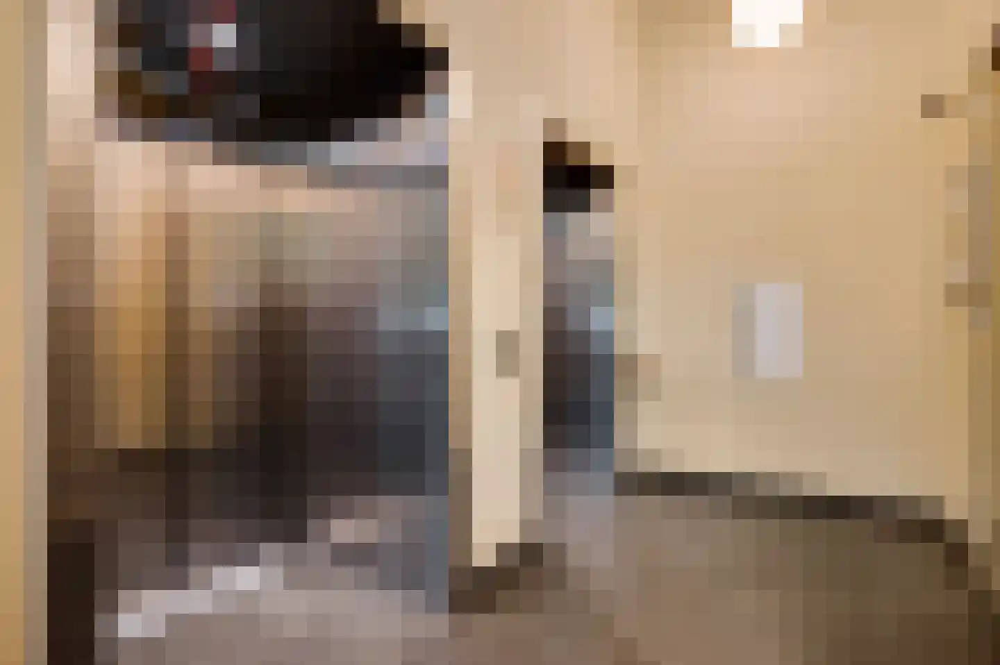 Torenallee 69 080 Eindhoven thumbnail 10