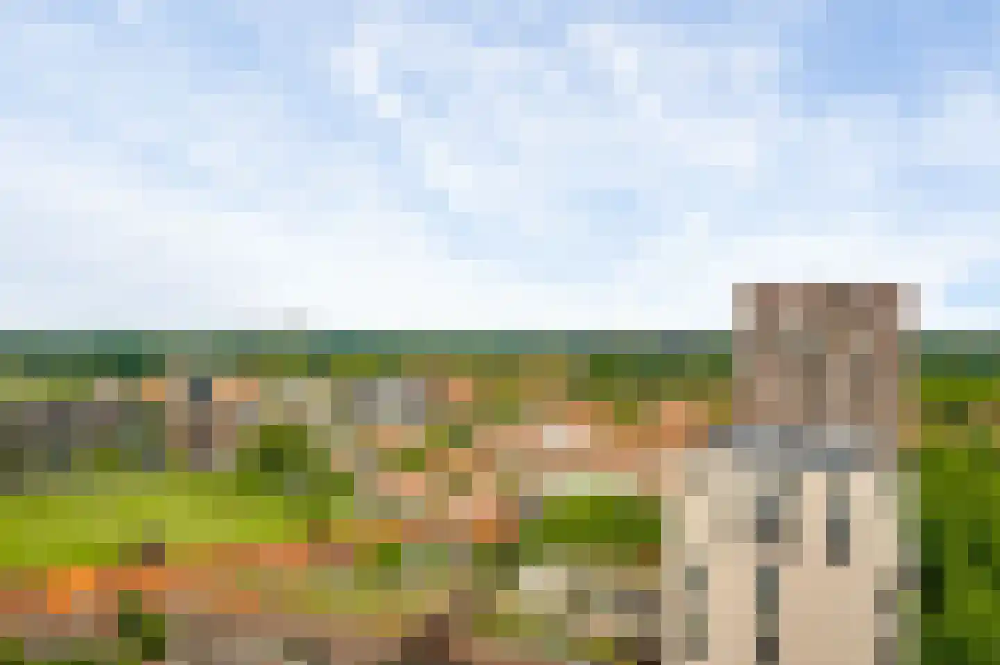 Torenallee 69 080 Eindhoven thumbnail 36