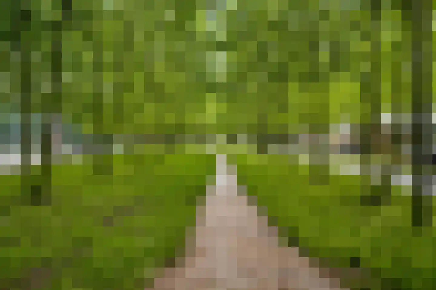 Torenallee 69 080 Eindhoven thumbnail 7