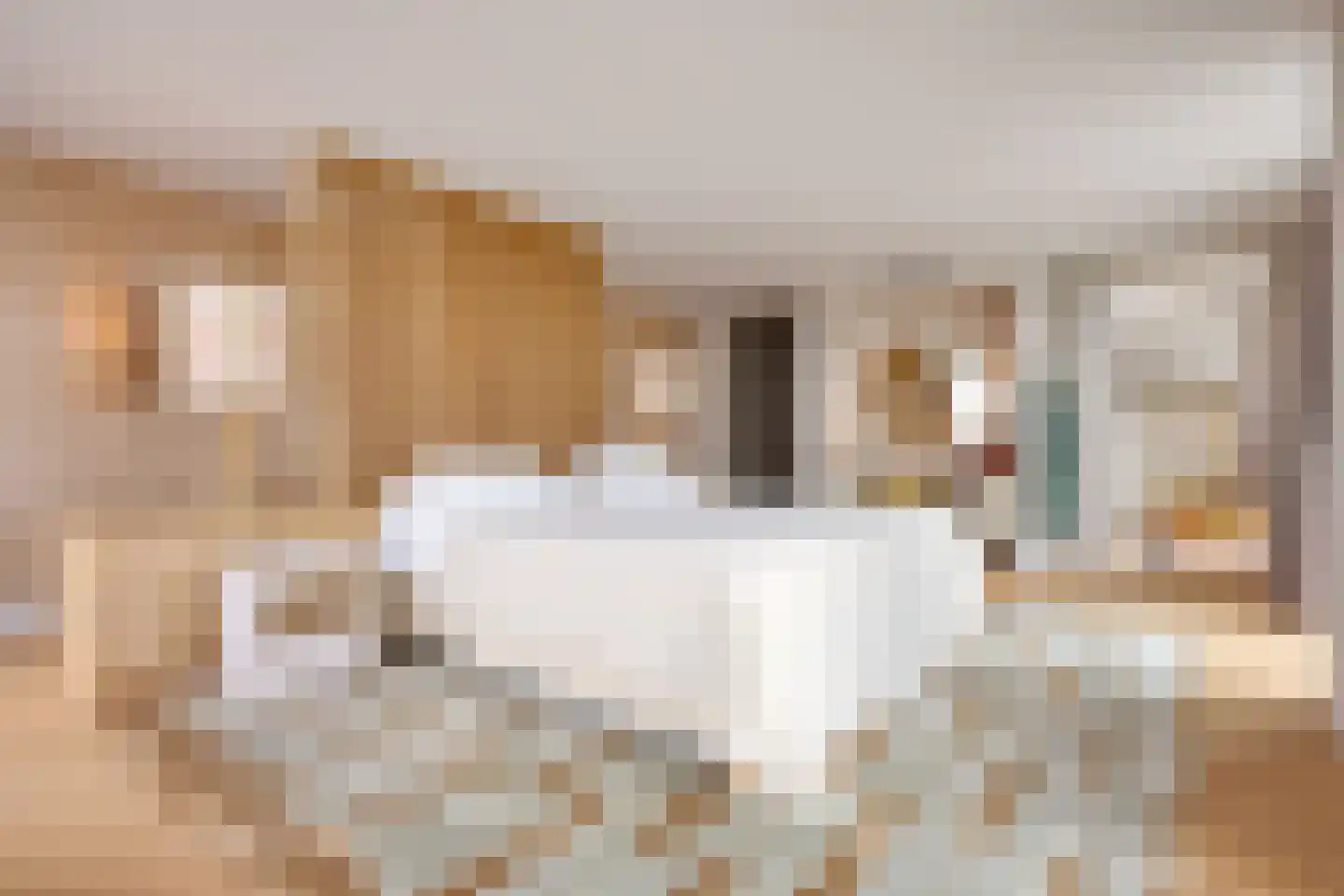 Torenallee 69 087 Eindhoven thumbnail 17