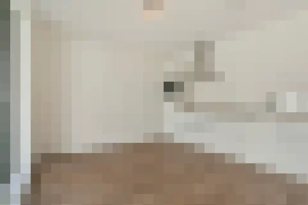 Torenallee 69 Eindhoven thumbnail 5