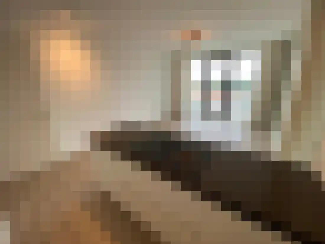 Torenallee Eindhoven thumbnail 12
